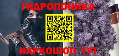 молекула духа Пенза