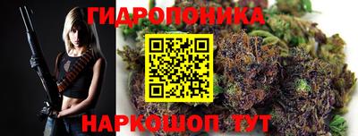 молекула духа Пенза