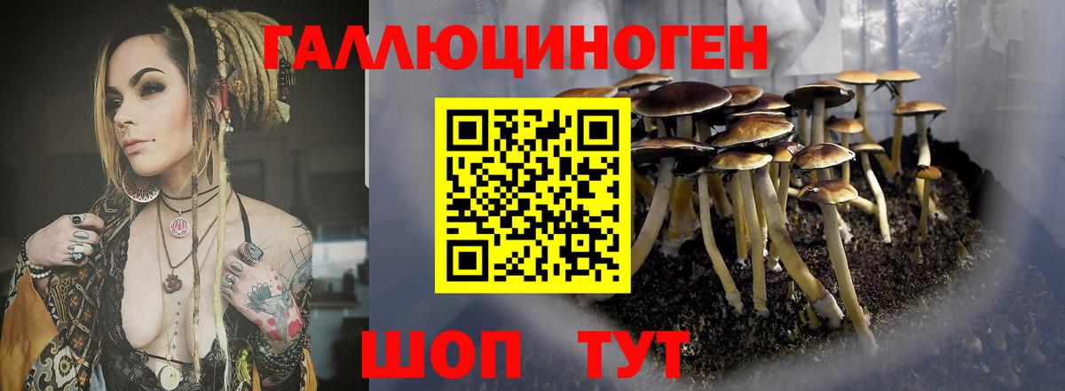 Псилоцибиновые грибы MAGIC MUSHROOMS  Галлюциногенные грибы ЛСД  Ростов-на-Дону  Вход с VPN 